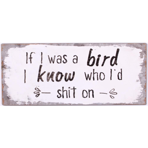 IF I WAS A BIRD 