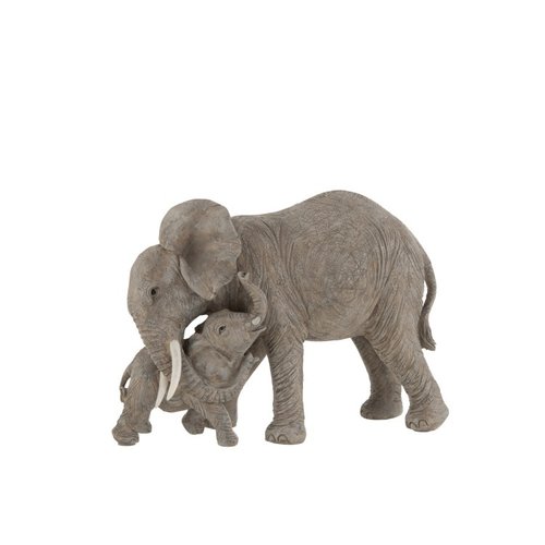 OLIFANT KNUFFELEND 