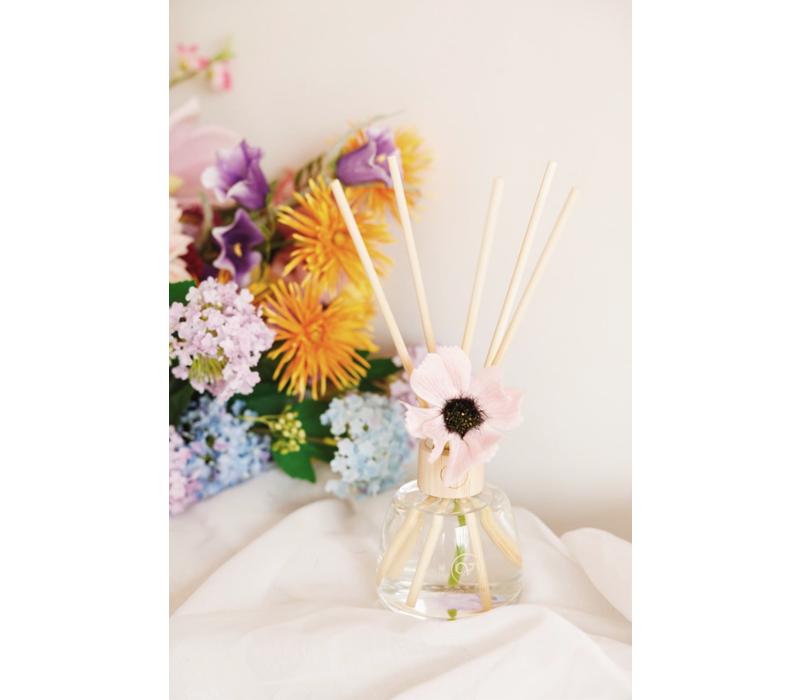 GIFT SET - COCO CILOU