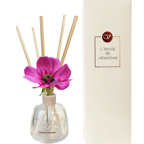 DIFFUSER - PASSION PARADIS 