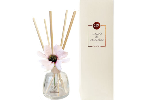 DIFFUSER - COCO CILOU