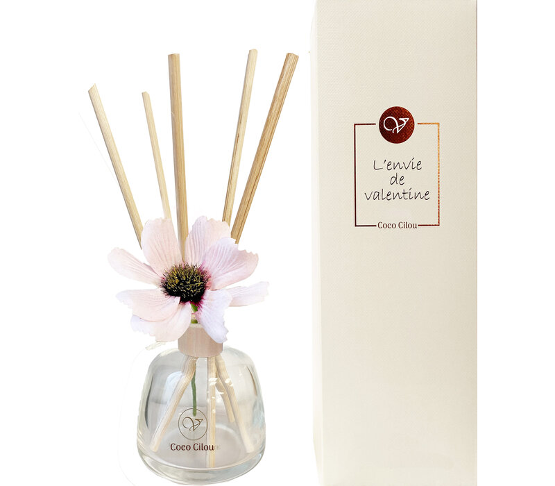 DIFFUSER - COCO CILOU