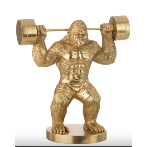 BEELD - GORILLA GEWICHTHEFFEN 