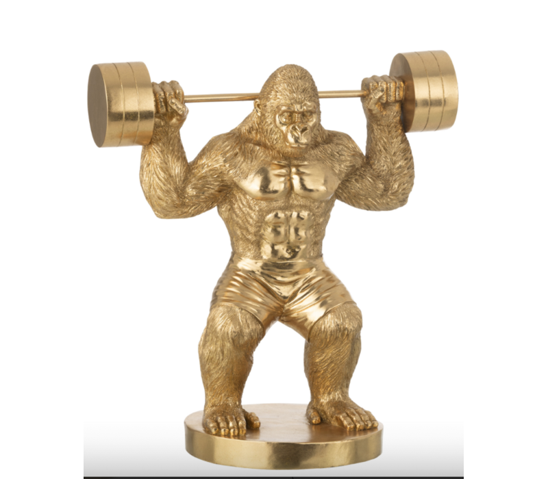 BEELD - GORILLA GEWICHTHEFFEN