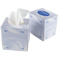 Mouchoirs en Papier Blancs - Pour CC493 - 2 Plis - Lot de 24