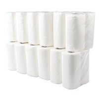 Rouleaux Essuie-Tout - Jantex - Lot de 24