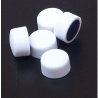 Lot de 16 Aimants Blancs