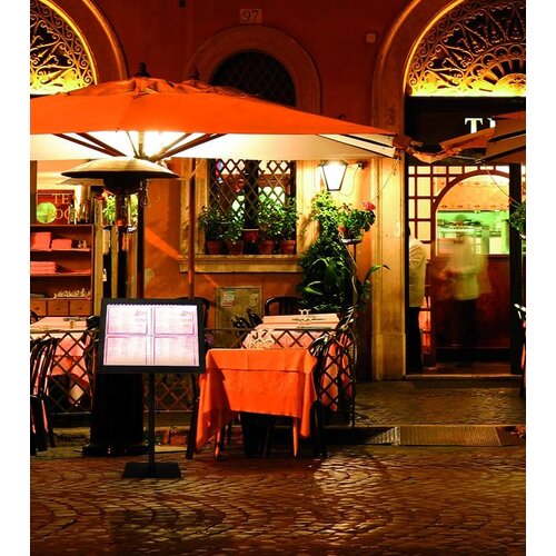 Securit Vitrine dAffichage Menus LED | 4x A4 | Inox Noir | Set COMPLET avec Pied