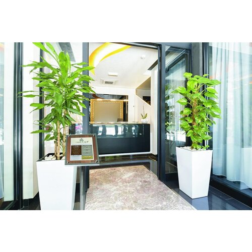 Securit Vitrine D'Affichage Menus en Noyer | 1xA4 | PIED VENDU SEPAREMENT