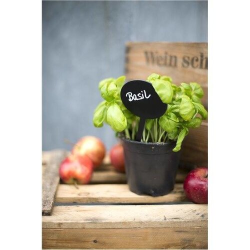 Securit Ardoises Pique Bulle 5 Pièces + 1 Feutre