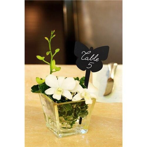 Securit Ardoises Pique Papillon 5 Pièces + 1 Feutre