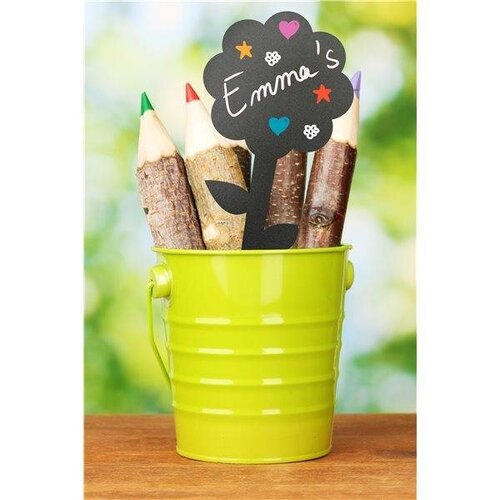 Securit Ardoises Pique Fleur 5 Pièces + 1 Feutre