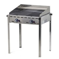 Barbecue à Gaz Green Fire - 2 Bruleurs - 2 Grills Inox - 740x612x825(h)mm