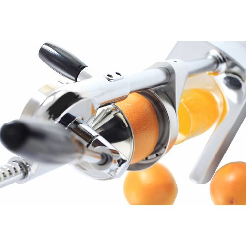 Hendi Presse-Agrumes Economic - Chromé - 225x180x510(h)mm