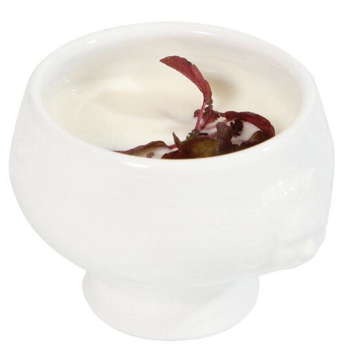 Hendi Coupelle Tapas Lion - Porcelaine Blanche - 55x45mm - 6 Pièces Hendi Coupelle Tapas Lion - Porcelaine Blanche - 55x45mm - 6 Pièces