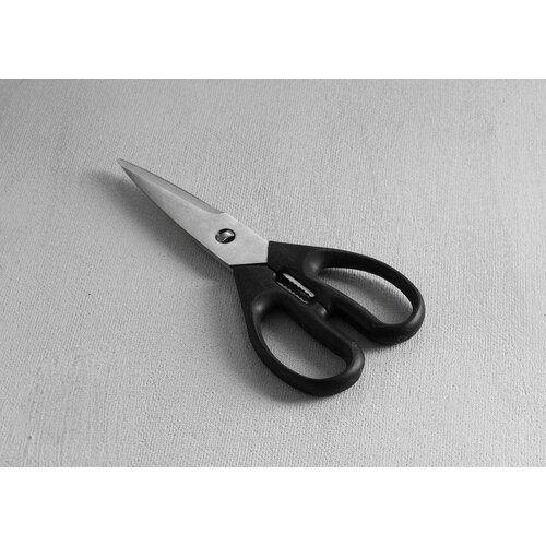 Hendi Ciseaux De Cuisine - Inox - 195mm