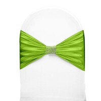 Bande de Chaise Banquet | Vert Anis | Taille Unique
