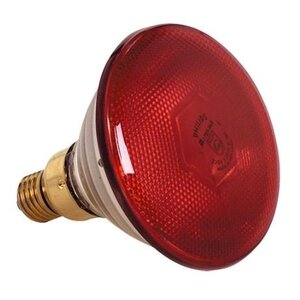 CaterChef Ampoule Chauffante Rouge | 175W