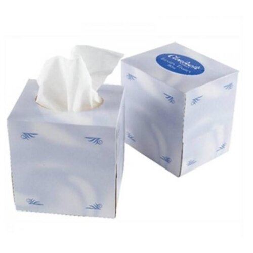 CHRselect Mouchoirs en Papier Blancs | 2 Plis | Lot de 48