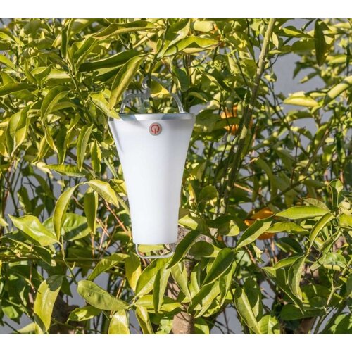 Lumisky Lanterne Lumineuse Toby 23cm | 1,2W (Batterie) | Blanc Froid | Par 6 Pièces