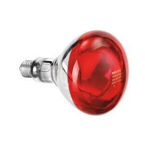 Bartscher Ampoule Infrarouge Philips | 250W