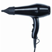 Sèche-Cheveux Hôtellerie Noir | 2 Vitesses | Disponibles en 2 Wattages