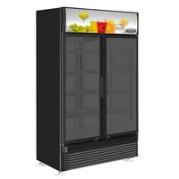 Vitrine Réfrigérée 2 Portes | 780 Litres | BEZ-780 GD | Ventilée | 1120x595x(h)2100mm