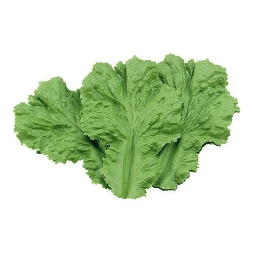 CHRselect Verdure Décoration - par 16 pces