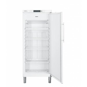 Liebherr Congélateur | Blanc | Gastronomie | sur Pieds | Liebherr | 478 Litres | 2/1 GN | GGv 5010 | 750x750x(h)1860mm