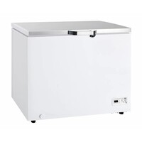 Congélateur Coffre | Economiseur d'Energie | Éclairage LED | 2 Roues & 2 Pieds | Disponible en 5 Tailles