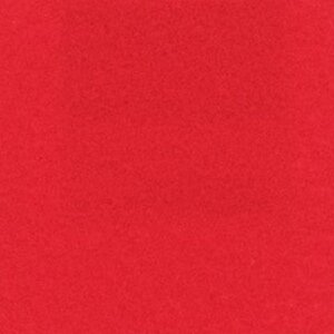 CHRselect Tapis Rouge avec Film Protecteur | 1 Mètre de Large | Disponible en 3 Longueurs CHRselect Tapis Rouge avec Film Protecteur | 1 Mètre de Large | Disponible en 3 Longueurs