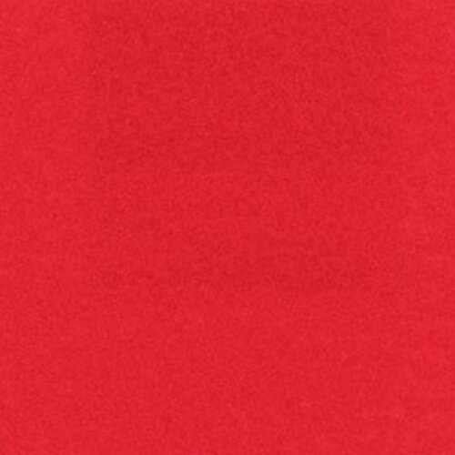 CHRselect Tapis Rouge avec Film Protecteur | 1 Mètre de Large | Disponible en 3 Longueurs CHRselect Tapis Rouge avec Film Protecteur | 1 Mètre de Large | Disponible en 3 Longueurs