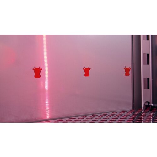 Saro Armoir à Maturation | Convient pour la viande | 519 litres | 740x830x (H) 2035mm