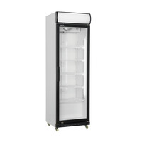 Refroidisseur de Bouteille  |Avec porte en verre| Éclairage led | 425 Litres | 610x635x(H)1973mm