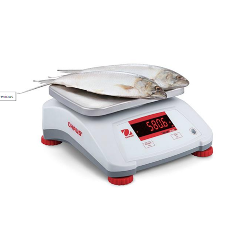 Ohaus  Balance  | VERSION ABS | Plateau en INOX | Plusieurs tailles Disponibles