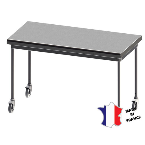Sofinor Table demontable rayonnee | Inox | centrale | pieds ronds | 700(l)x700x900mm | sur roulettes polyamide Sofinor Table demontable rayonnee | Inox | centrale | pieds ronds | 700(l)x700x900mm | sur roulettes polyamide