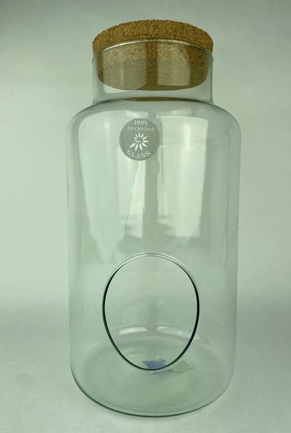 Glass plants vase + cork stopper 19Dx21H