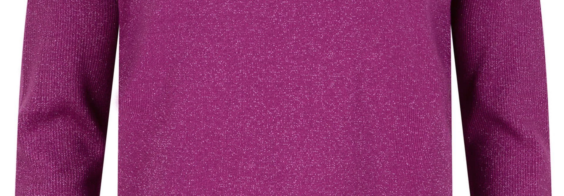 Lani fine viscose gltter knitted top Purple