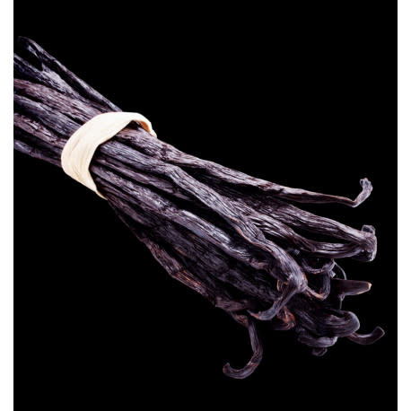 'Black Elixir' Eau de Parfum 100 ml-5