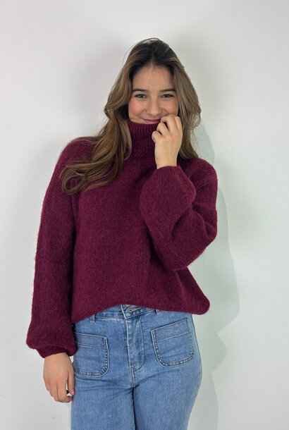 Geroni turtleneck knit Black Bordeaux