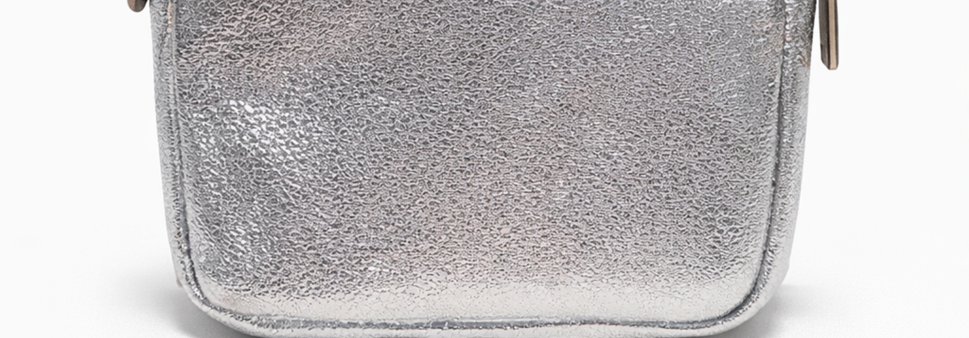 Ade metalic zip wallet Silver