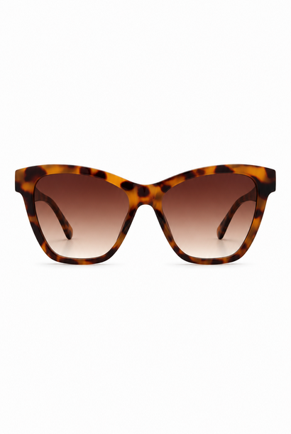 Jimmy statement cat-eye sunglasses Havana