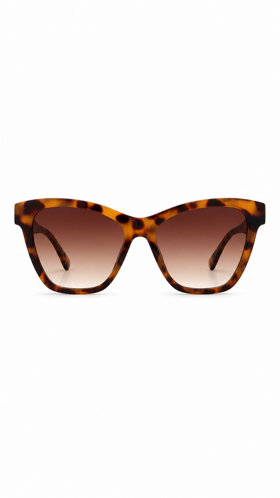 Jimmy statement cat-eye sunglasses Havana-1