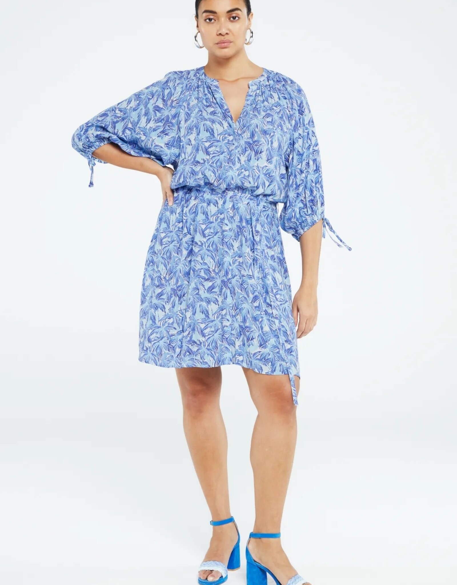 Fabienne Chapot Clipper Dress Blue Palmetto