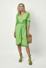 Dante 6 Suka Midi Dress Green Flare