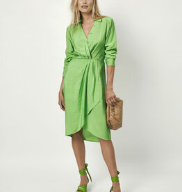 Dante 6 Suka Midi Dress Green Flare