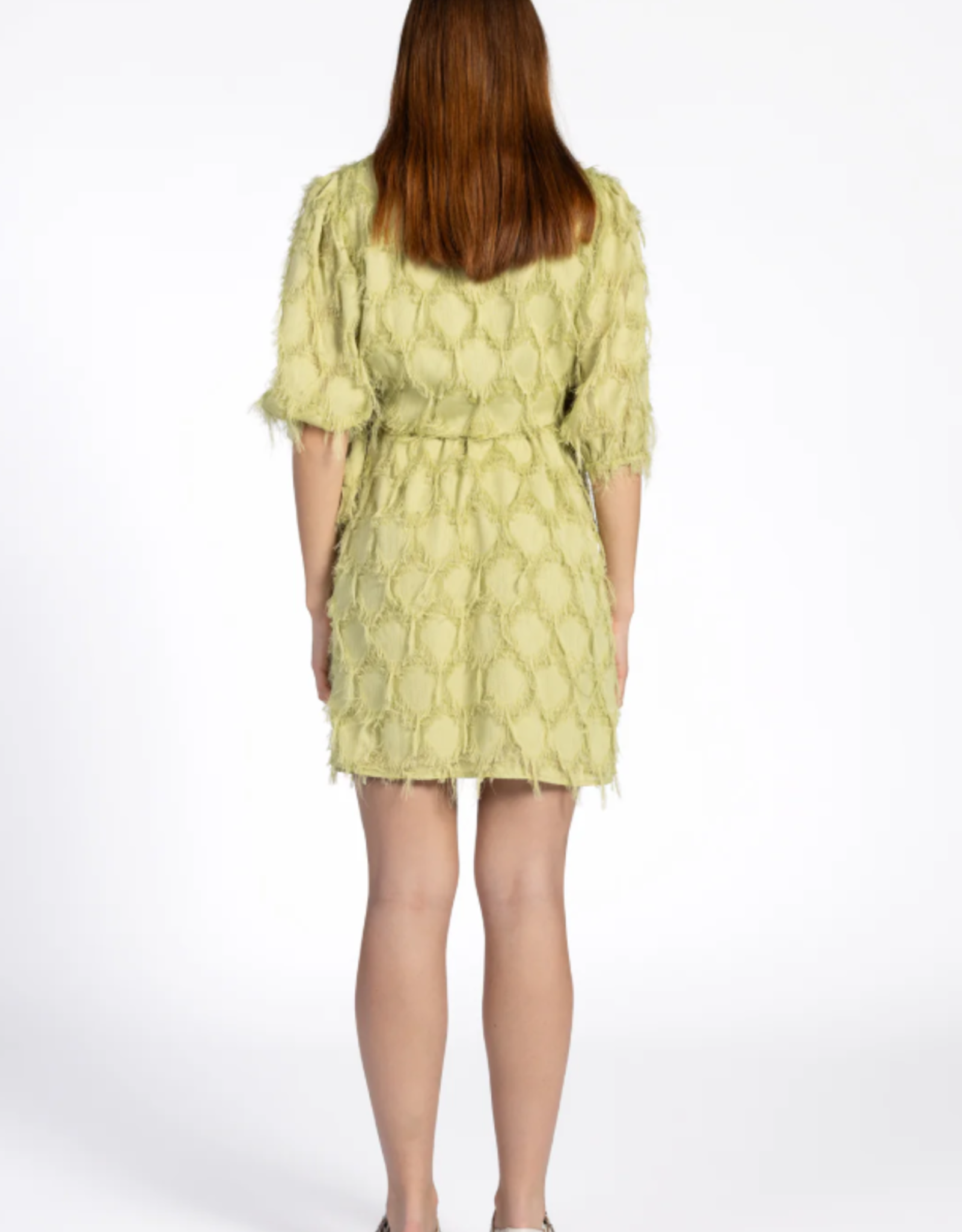 Aaiko Florica Fringe Dress Dark Citrus