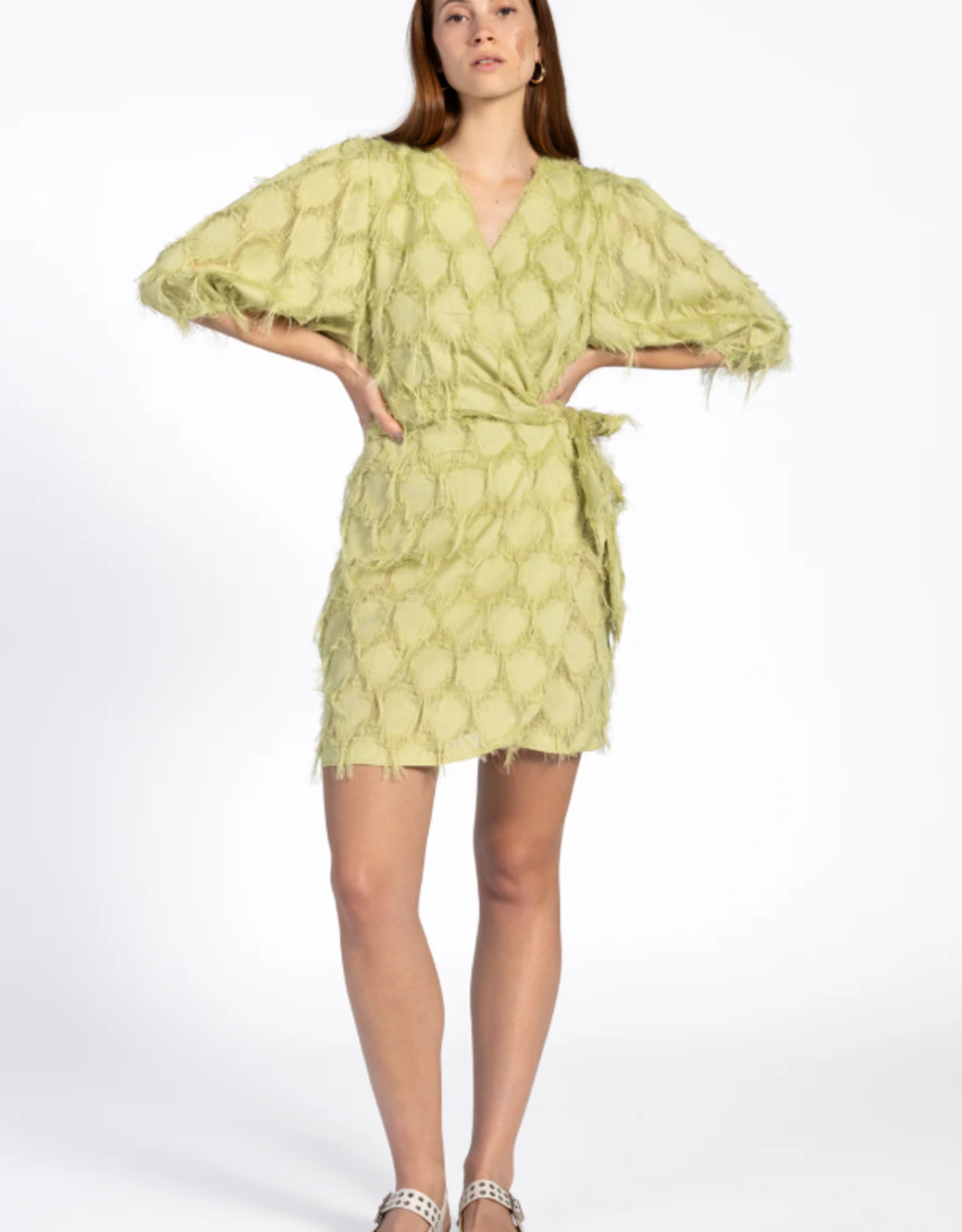 Aaiko Florica Fringe Dress Dark Citrus