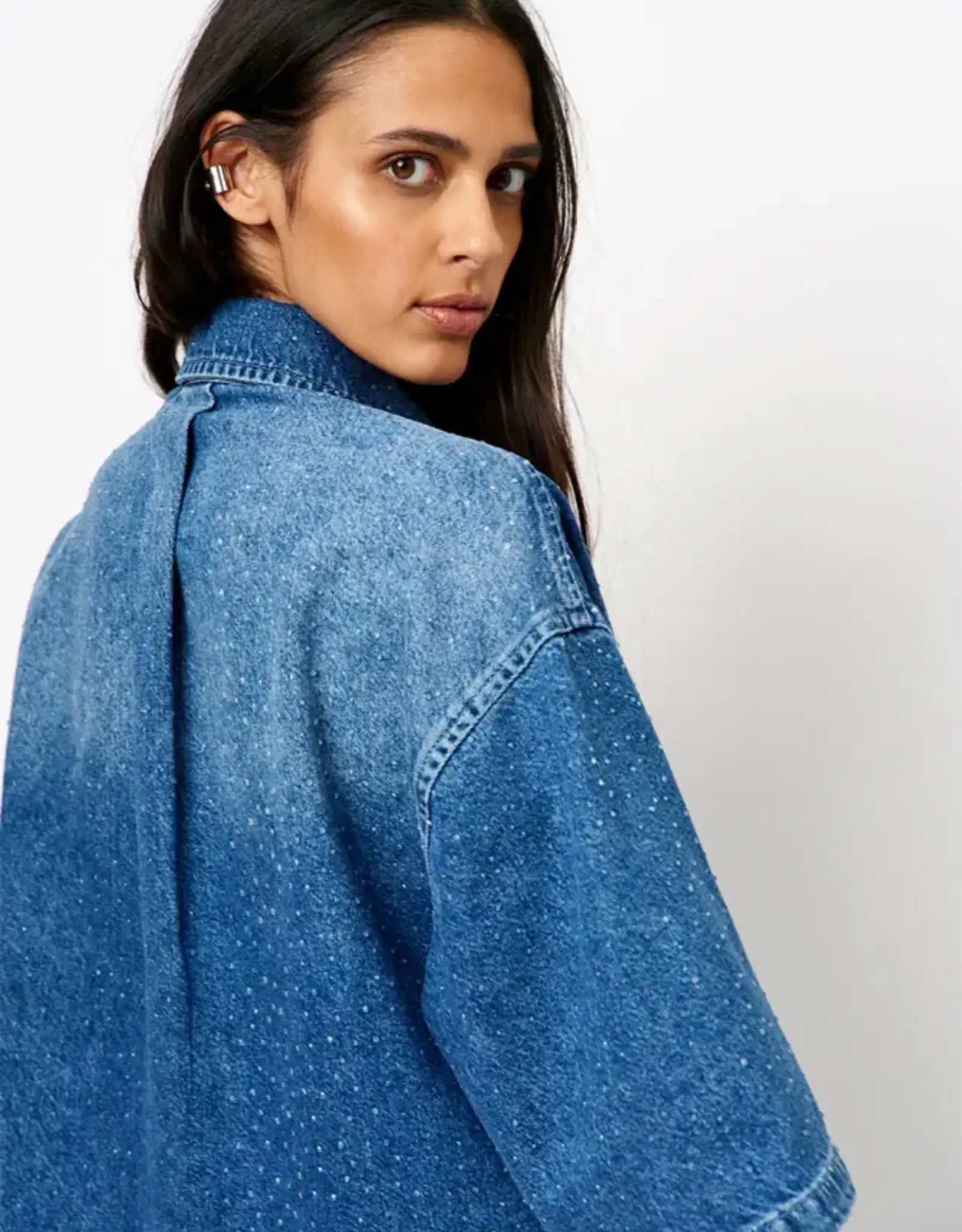 Dante 6 Daisy Rhinestone Denim Shirt Vintage Blue