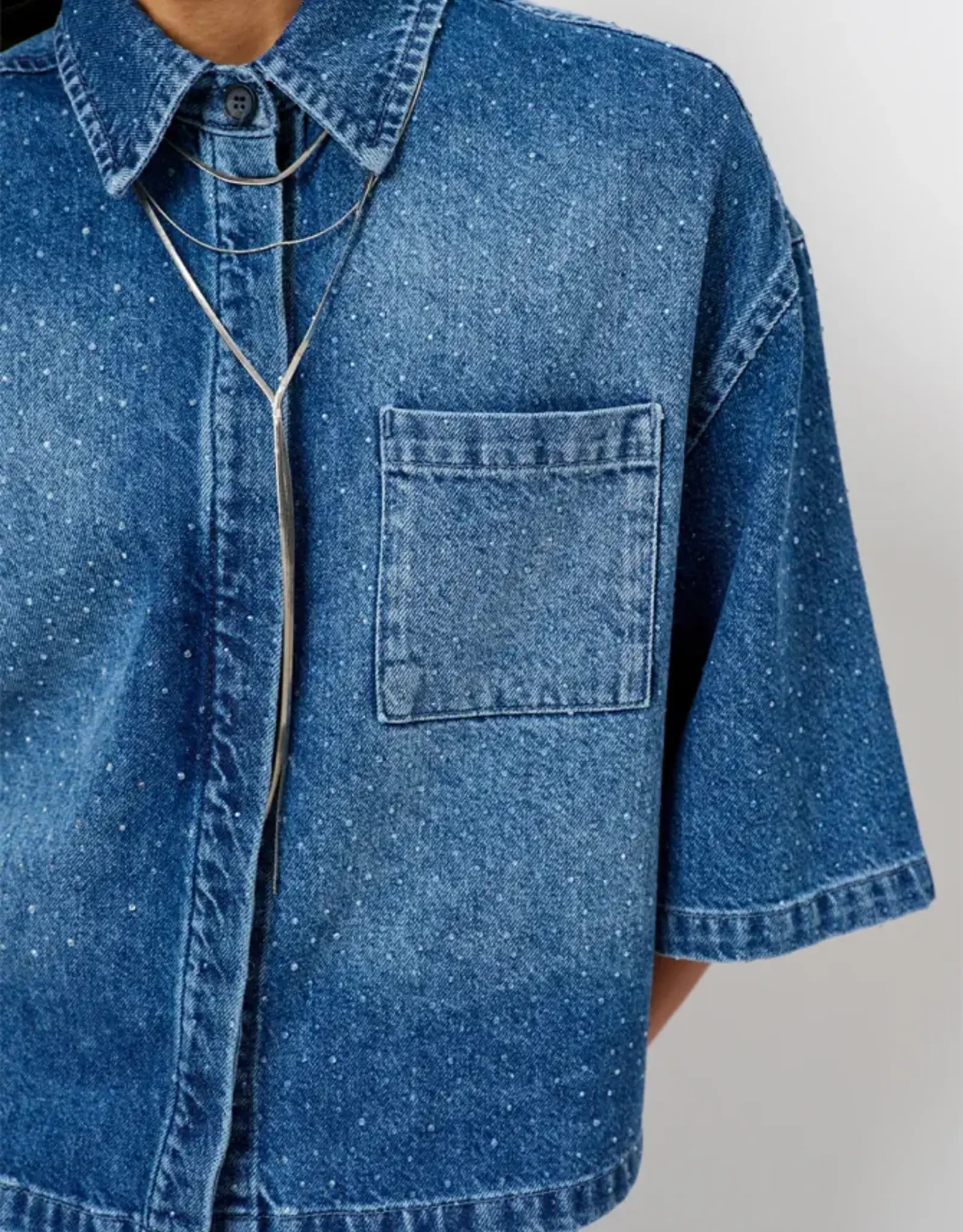 Dante 6 Daisy Rhinestone Denim Shirt Vintage Blue